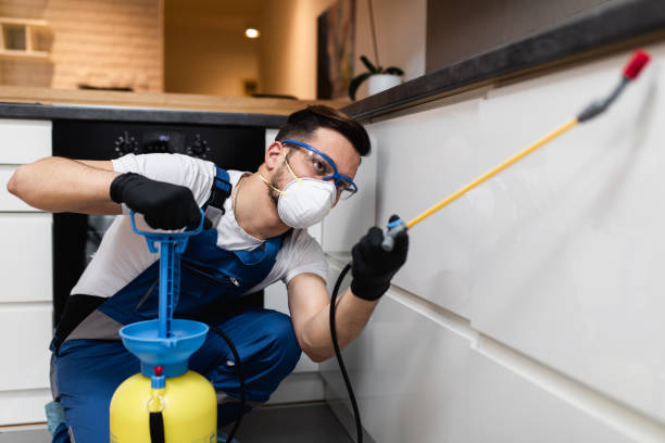 Best Affordable Pest Control Services  in Greenwood Lake, NY