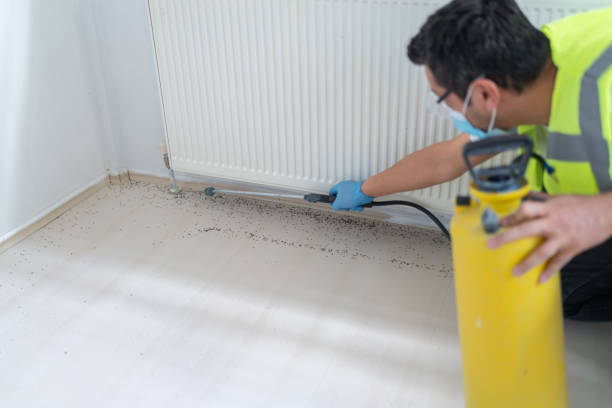 Best Termite Control Services  in Greenwood Lake, NY