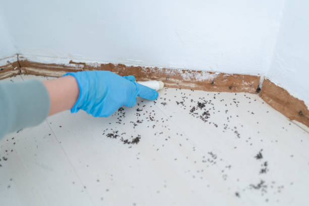 Wildlife Control Services in Greenwood Lake, NY