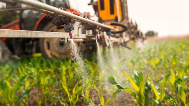 Best Ant Control Services  in Greenwood Lake, NY